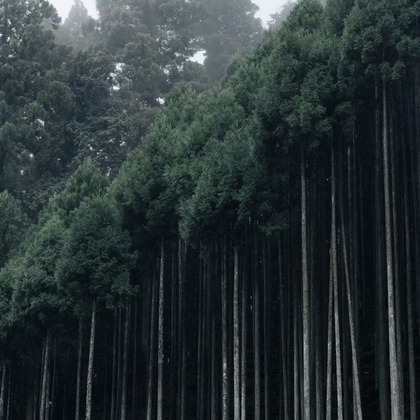 鈴木香那枝が撮影した料理撮影の写真