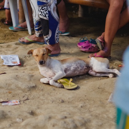 Katsuhiko Suzukiが撮影した「:albumName」の写真