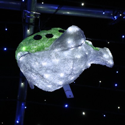 ＮＫ フォトエージェンシーが撮影したその他の写真