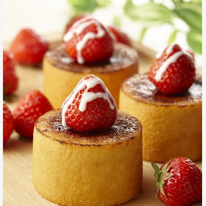 株式会社SANYO-CYP studioUPが撮影した「:albumName」の写真