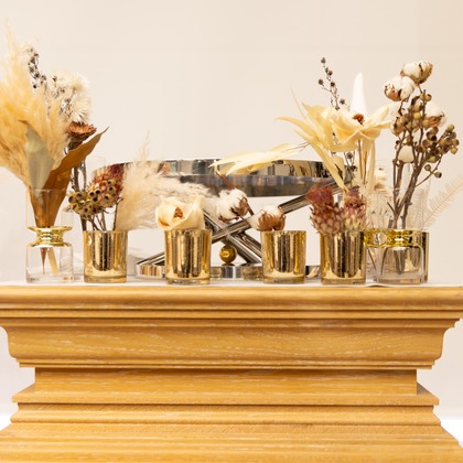 森岡　史仁が撮影したその他の写真