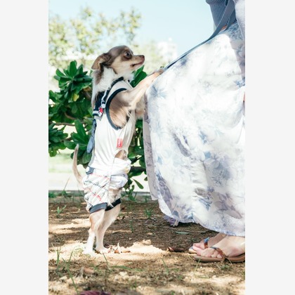 ポートレート沖縄が撮影した「:albumName」の写真