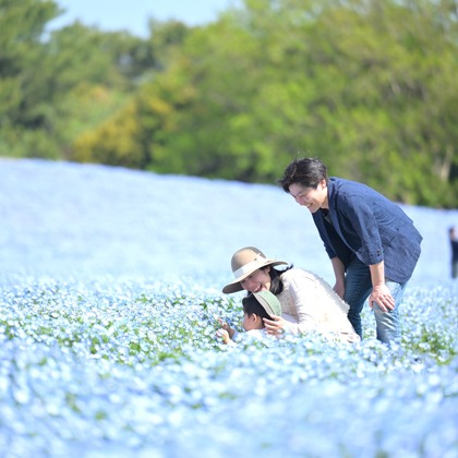 吉村　恵三が撮影した「:albumName」の写真