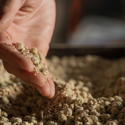 小田映像制作事務所が撮影した「:albumName」の写真