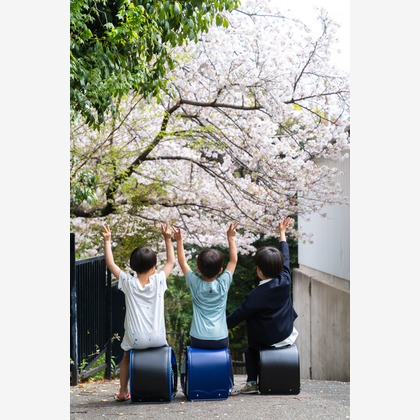 久保　秀臣が撮影した「:albumName」の写真