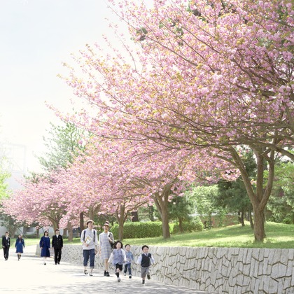 村田わかな広告写真が撮影したその他/人物撮影の写真