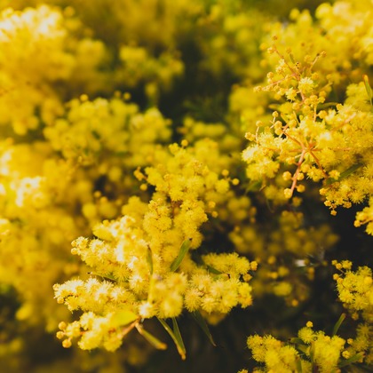 磯谷亮太が撮影したその他の写真