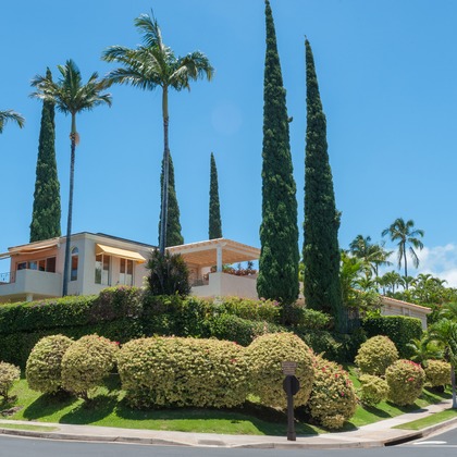 Willow Photoが撮影した「:albumName」の写真