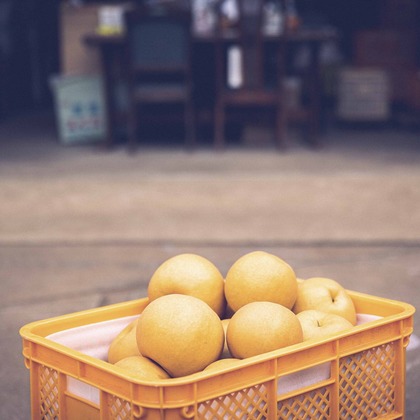 Sunstore 三條康貴が撮影したウェディングや家族、ビジネスの写真