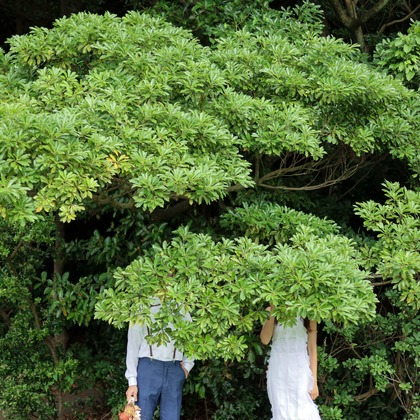 Photo of :albumName taken by 横山 菜々美