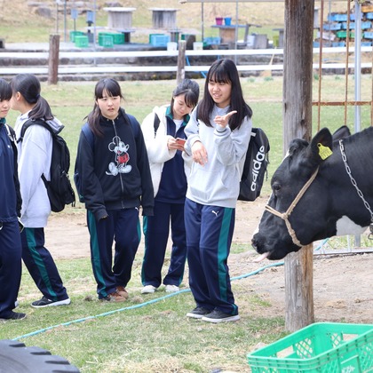 益永淳二写真事務所が撮影した「:albumName」の写真