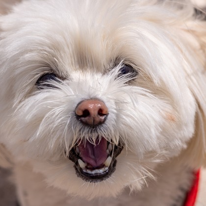 沖山俊樹が撮影した「:albumName」の写真