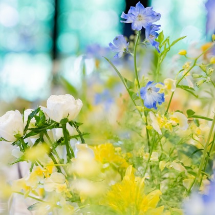 大橋　道裕が撮影した「:albumName」の写真