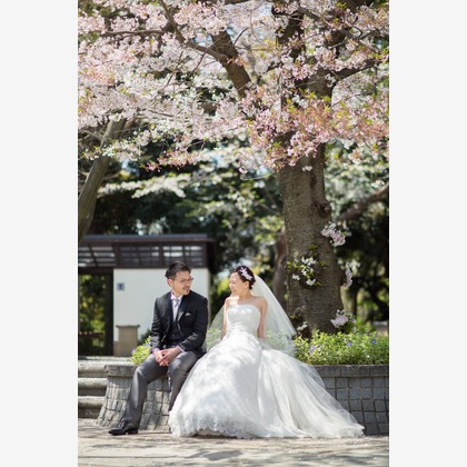 improveが撮影した「:albumName」の写真