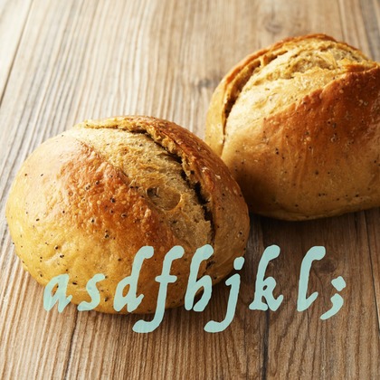 西原毅が撮影した「:albumName」の写真