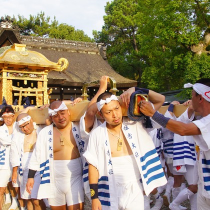 河野慈圓が撮影した「:albumName」の写真