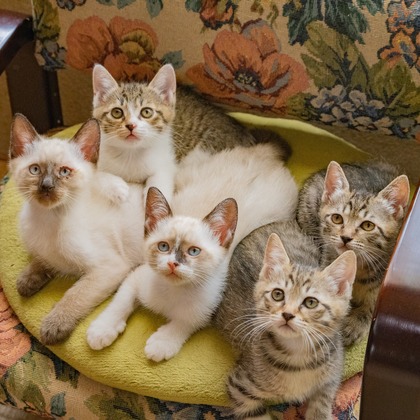 blankが撮影した料理撮影/商品/物撮りの写真