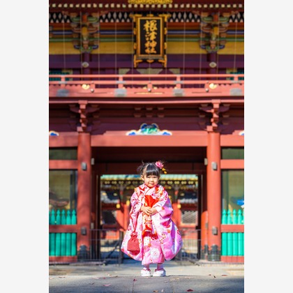 Kan Suzuki  photographyが撮影した「:albumName」の写真