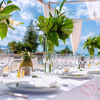 Alex Dadushcoが撮影したウェディングや家族、ビジネスの写真