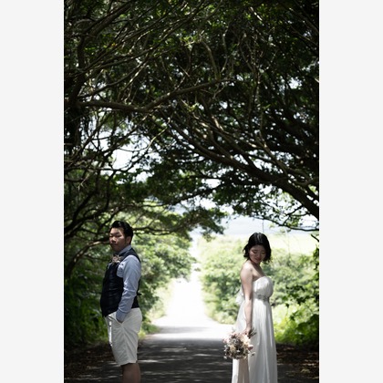 山口写真事務所が撮影した「:albumName」の写真