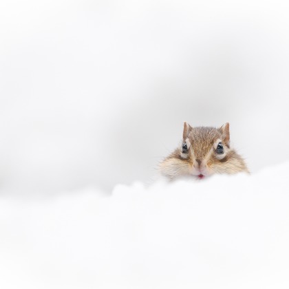 山口奈緒が撮影した「:albumName」の写真