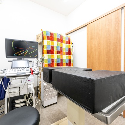 吉田佳央が撮影した「:albumName」の写真