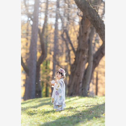 Memoriaが撮影した「:albumName」の写真