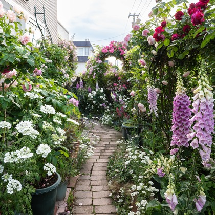 オフィス 芦野が撮影した「:albumName」の写真