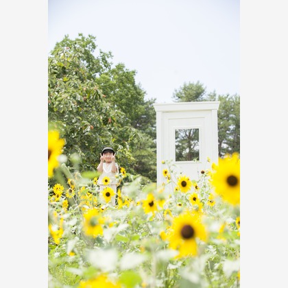 スタジオミルクが撮影したその他/家族写真の出張撮影の写真