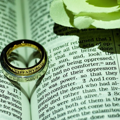 Photo of :albumName taken by Creative Photographer .K