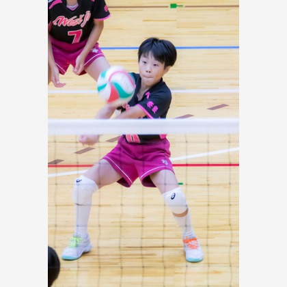 PHOTO 笑福が撮影した「:albumName」の写真
