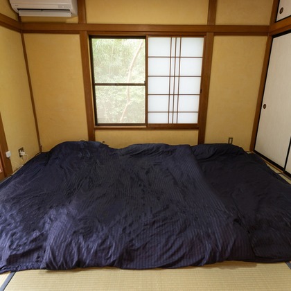 鈴木美咲が撮影した「:albumName」の写真