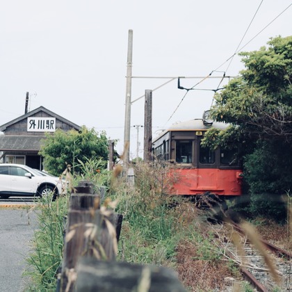 Takeuchi Shunsukeが撮影したその他の写真