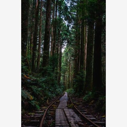 登 将紀が撮影したその他/イベント/スナップ撮影の写真