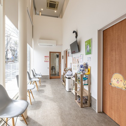 吉田佳央が撮影した「:albumName」の写真