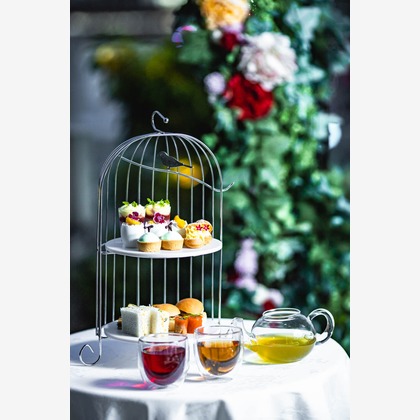 kudophotoが撮影した「:albumName」の写真