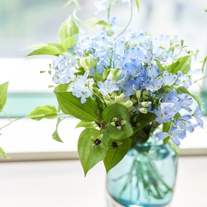 吉本悠哉が撮影した店舗/オフィス/サロン撮影の写真