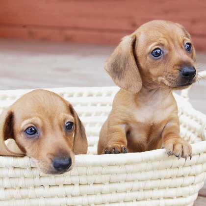 森安　照が撮影した「:albumName」の写真