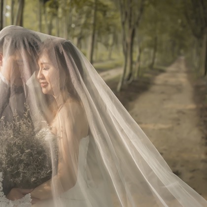 續 WEDDING PLANNINGが撮影した「:albumName」の写真