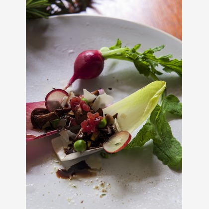 （有）プロヴィデンスが撮影した「:albumName」の写真