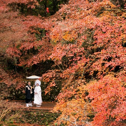 樋上孝典が撮影した「:albumName」の写真
