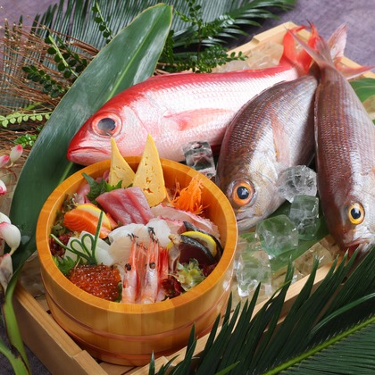 山口写真事務所が撮影した「:albumName」の写真