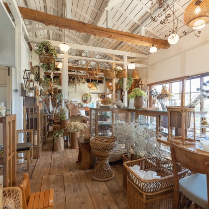 ミヤタカズコが撮影した「:albumName」の写真