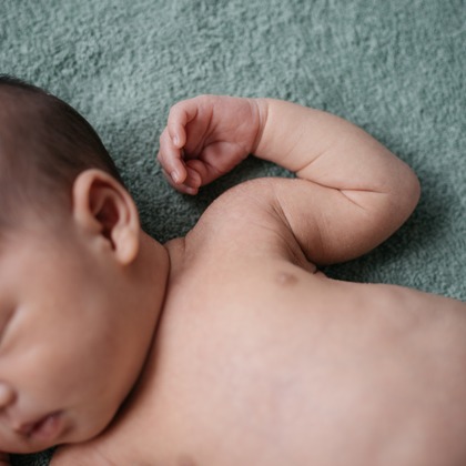 植村由理が出張撮影した多年生植物, 花粉, つま先などが写った「マリちゃん」の家族写真
