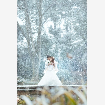 黒岩拓也が撮影した「」の写真