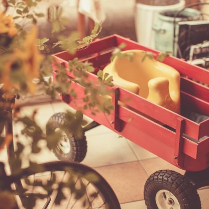  グラフィーズが撮影した「:albumName」の写真