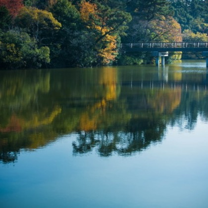 ピュアアーティス(小島 靖雄)が撮影した「:albumName」の写真