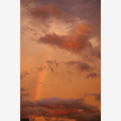 blink photoが撮影したウェディングや家族、ビジネスの写真