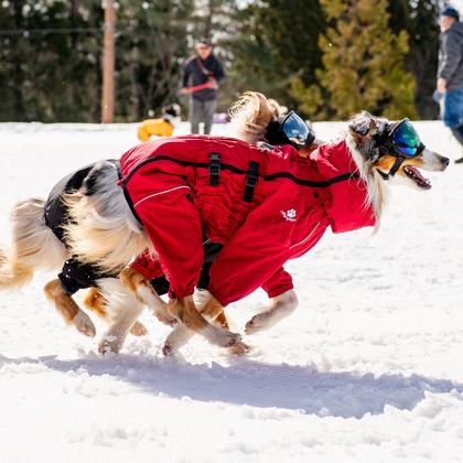 スマイルチューンが撮影したウェディングや家族、ビジネスの写真