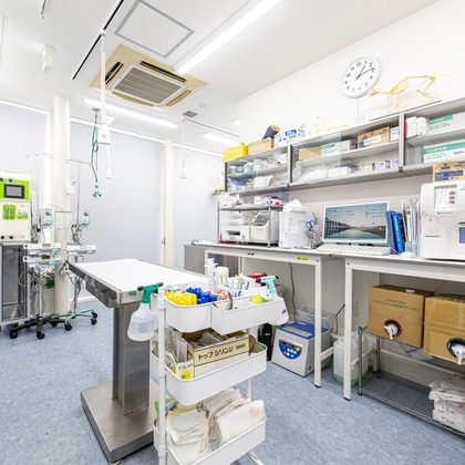 吉田佳央が撮影した「:albumName」の写真